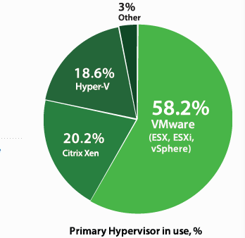 Hypervisor in %