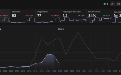 Rybbit Analytics: Vorteile und Installation im Detail